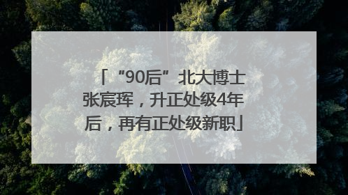 “90后”北大博士张宸珲，升正处级4年后，再有正处级新职