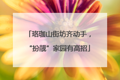 珞珈山街坊齐动手，“扮靓”家园有高招