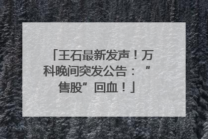 王石最新发声！万科晚间突发公告：“售股”回血！