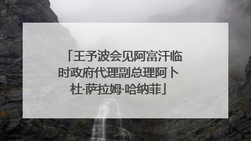 王予波会见阿富汗临时政府代理副总理阿卜杜·萨拉姆·哈纳菲