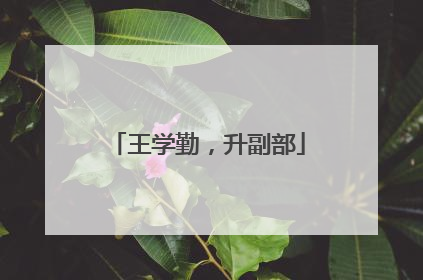 王学勤，升副部