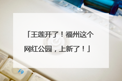王莲开了！福州这个网红公园，上新了！