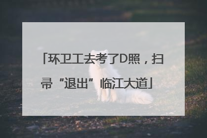 环卫工去考了D照，扫帚“退出”临江大道