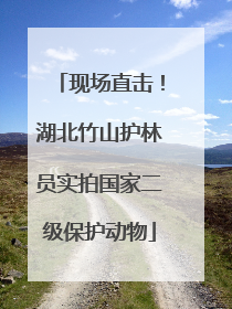 现场直击！湖北竹山护林员实拍国家二级保护动物