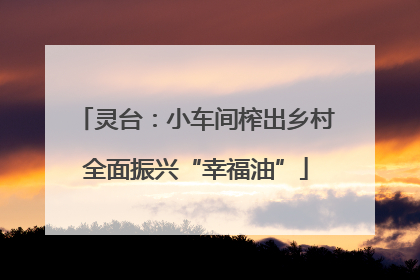 灵台：小车间榨出乡村全面振兴“幸福油”