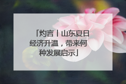 灼言丨山东夏日经济升温，带来何种发展启示