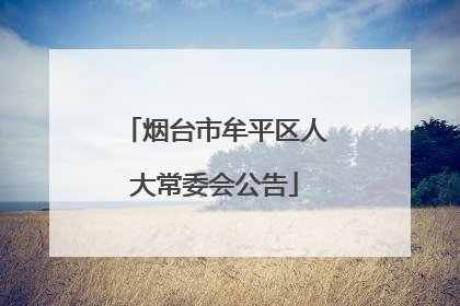 烟台市牟平区人大常委会公告