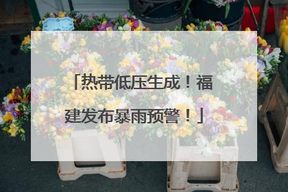 热带低压生成！福建发布暴雨预警！