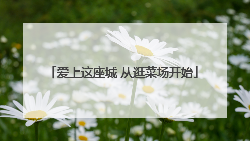 爱上这座城 从逛菜场开始