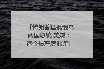 特朗普猛批俄乌两国总统 美媒：迄今最严厉批评
