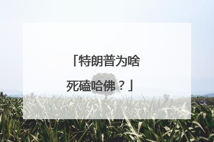 特朗普为啥死磕哈佛？