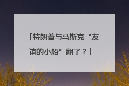 特朗普与马斯克“友谊的小船”翻了？