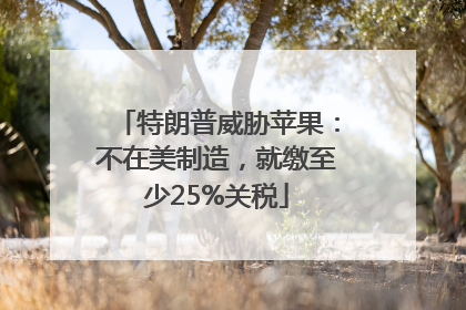 特朗普威胁苹果：不在美制造，就缴至少25%关税