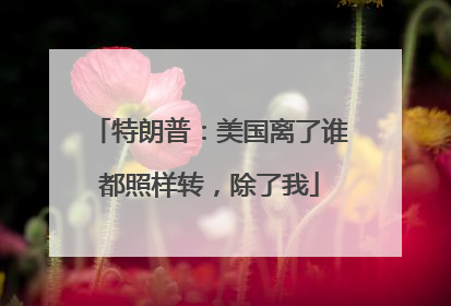 特朗普：美国离了谁都照样转，除了我