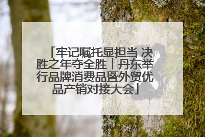 牢记嘱托显担当 决胜之年夺全胜丨丹东举行品牌消费品暨外贸优品产销对接大会