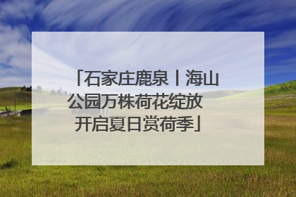 石家庄鹿泉丨海山公园万株荷花绽放 开启夏日赏荷季
