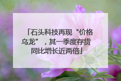 石头科技再现“价格乌龙”，其一季度存货同比增长近两倍