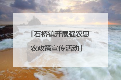 石桥镇开展强农惠农政策宣传活动