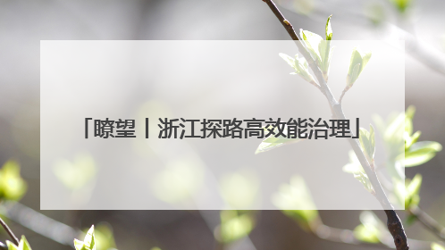 瞭望丨浙江探路高效能治理