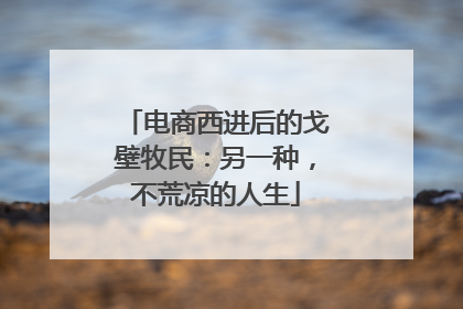 电商西进后的戈壁牧民：另一种，不荒凉的人生