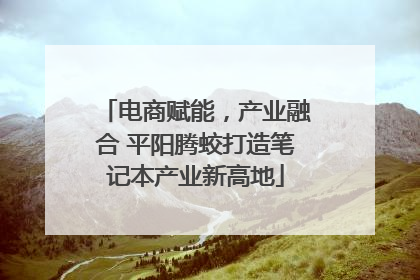 电商赋能，产业融合 平阳腾蛟打造笔记本产业新高地