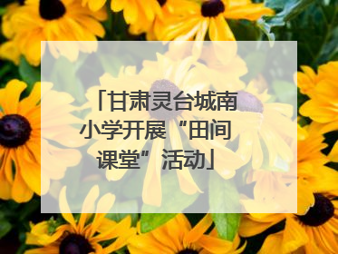 甘肃灵台城南小学开展“田间课堂”活动