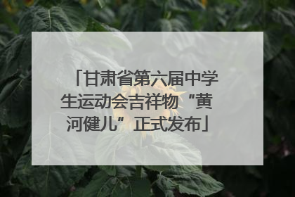 甘肃省第六届中学生运动会吉祥物“黄河健儿”正式发布