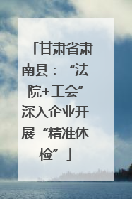 甘肃省肃南县：“法院+工会”深入企业开展“精准体检”