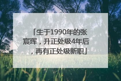 生于1990年的张宸珲，升正处级4年后，再有正处级新职