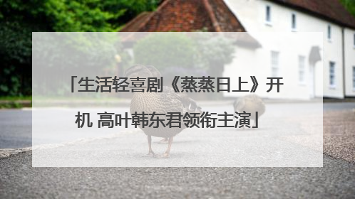 生活轻喜剧《蒸蒸日上》开机 高叶韩东君领衔主演