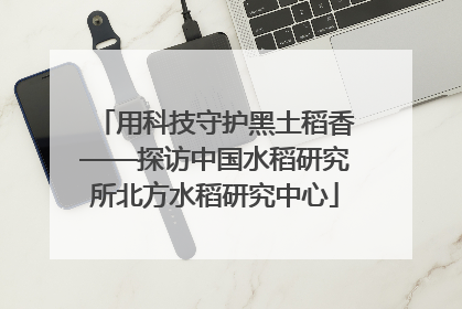用科技守护黑土稻香——探访中国水稻研究所北方水稻研究中心