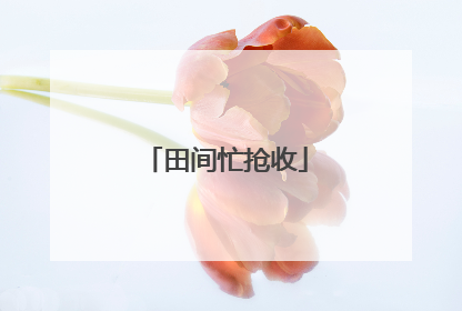 田间忙抢收
