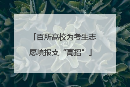 百所高校为考生志愿填报支“高招”