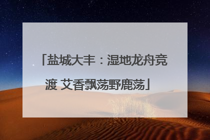 盐城大丰：湿地龙舟竞渡 艾香飘荡野鹿荡