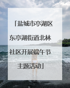 盐城市亭湖区东亭湖街道北林社区开展端午节主题活动