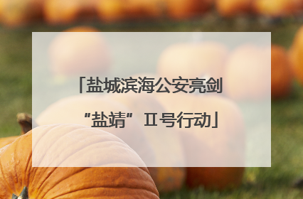 盐城滨海公安亮剑“盐靖”Ⅱ号行动