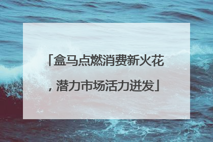 盒马点燃消费新火花，潜力市场活力迸发