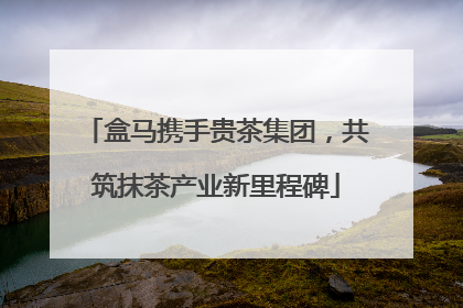 盒马携手贵茶集团，共筑抹茶产业新里程碑