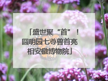 盛世聚“首”！圆明园七尊兽首亮相安徽博物院