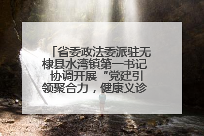 省委政法委派驻无棣县水湾镇第一书记 协调开展“党建引领聚合力，健康义诊惠乡亲”义诊活动