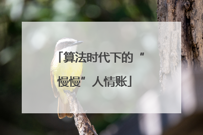 算法时代下的“慢慢”人情账