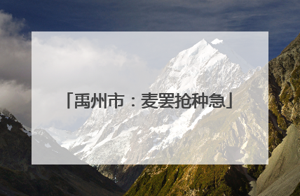 禹州市：麦罢抢种急