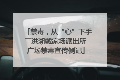 禁毒，从“心”下手――洪湖戴家场派出所广场禁毒宣传侧记