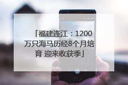 福建连江：1200万只海马历经8个月培育 迎来收获季