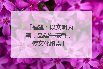 福建：以文明为笔，品端午粽香，传文化纽带