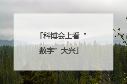 科博会上看“数字”大兴
