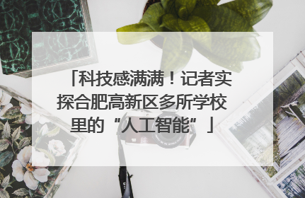 科技感满满！记者实探合肥高新区多所学校里的“人工智能”