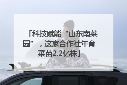 科技赋能“山东南菜园”，这家合作社年育菜苗2.2亿株