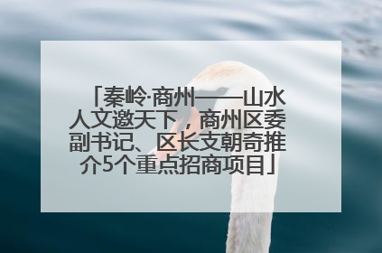 秦岭·商州——山水人文邀天下，商州区委副书记、区长支朝奇推介5个重点招商项目