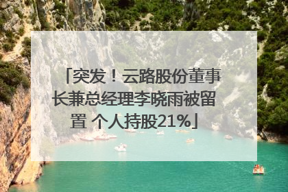 突发！云路股份董事长兼总经理李晓雨被留置 个人持股21%